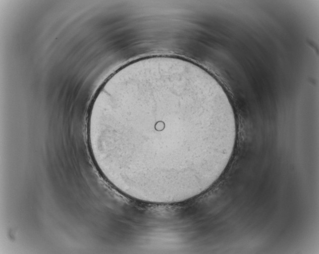 X0000103170950200809121858