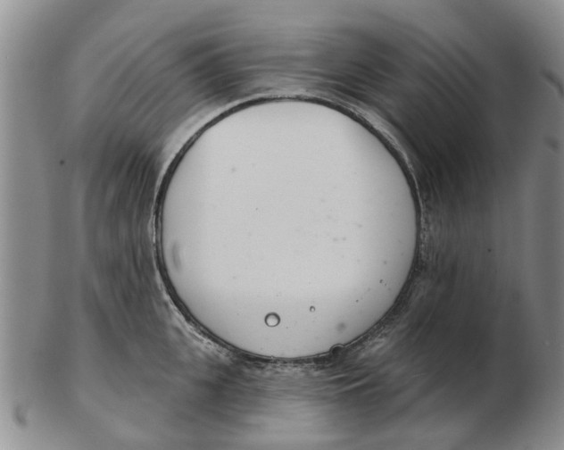 X0000103170951200809121858