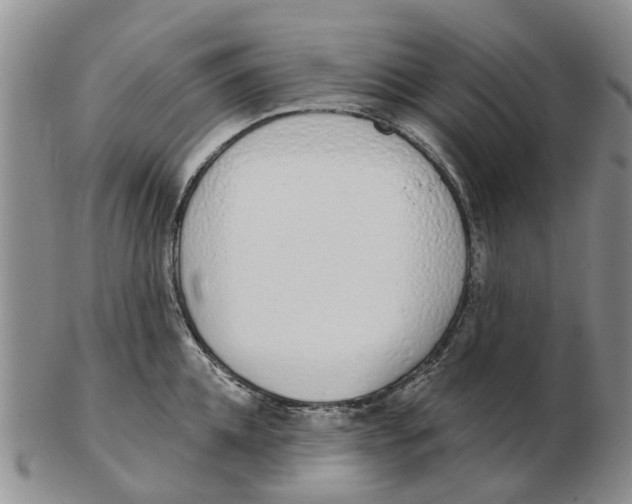 X0000103170952200809121858