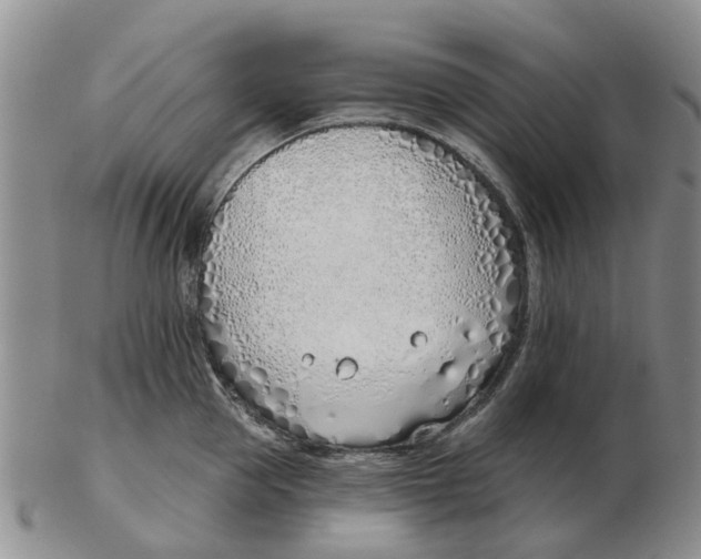 X0000103170953200809121858