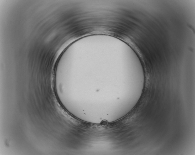 X0000103170955200809121858