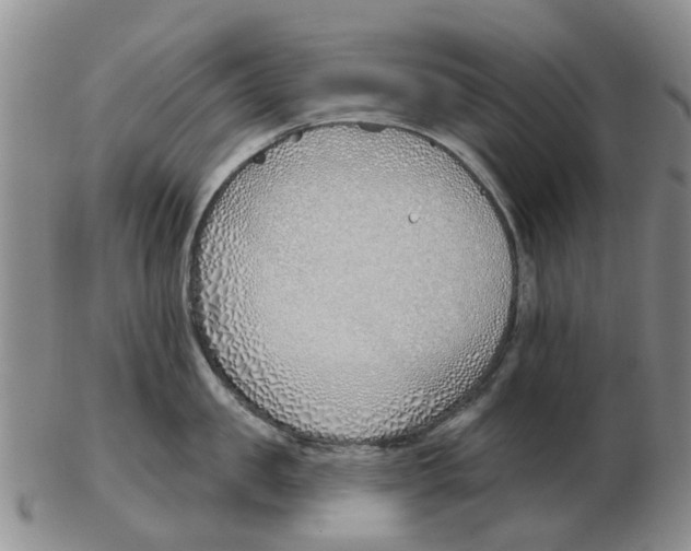 X0000103170957200809121858