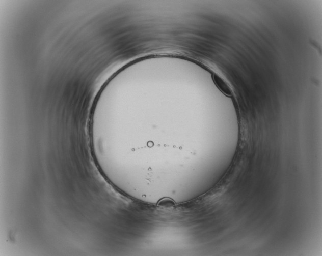 X0000103170959200809121858