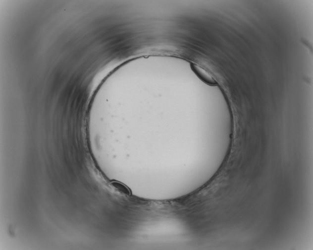 X0000103170960200809121858