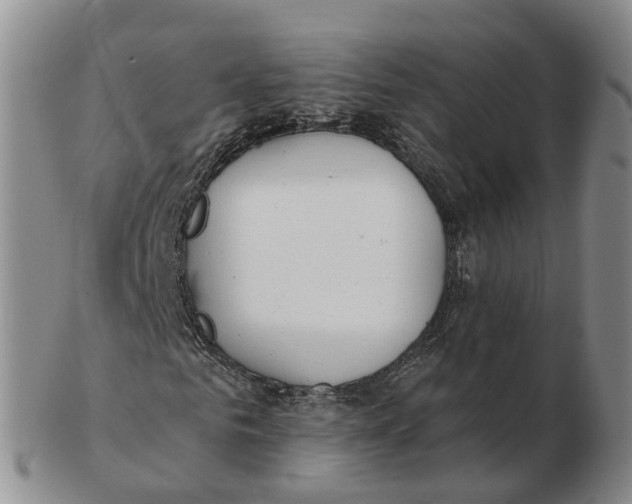 X0000103170961200809121857