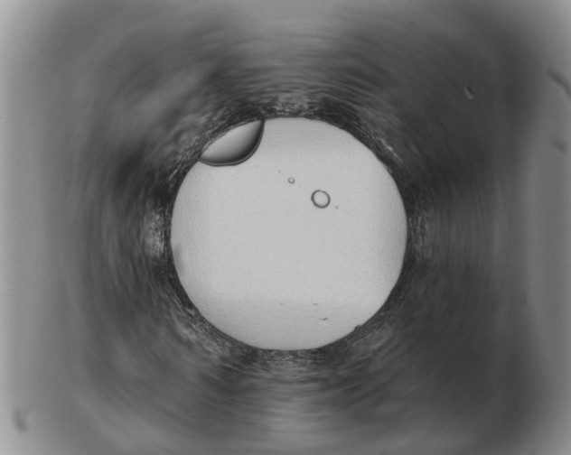 X0000103170962200809121857