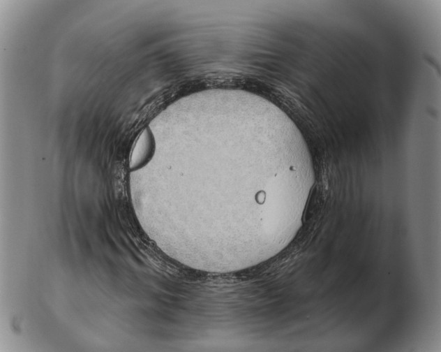 X0000103170964200809121857