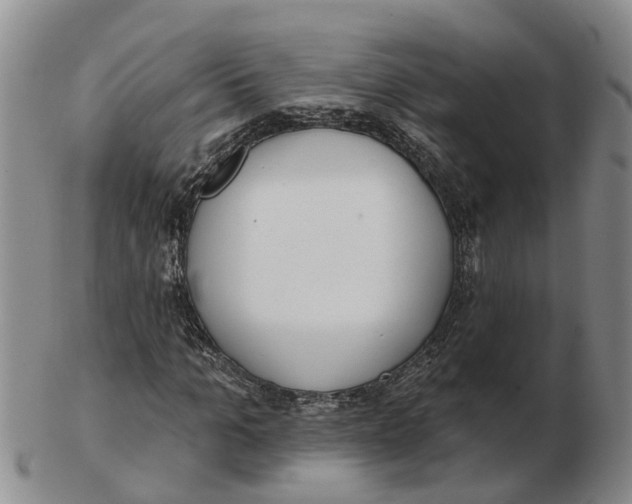 X0000103170965200809121857