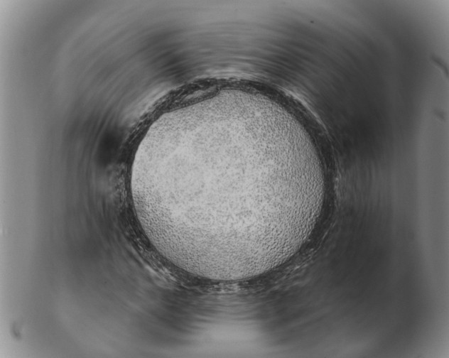 X0000103170968200809121857