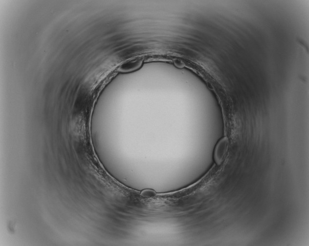 X0000103170969200809121857