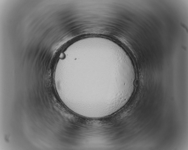 X0000103170971200809121857