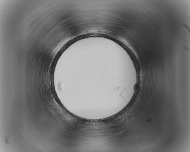 X0000103170972200809121857