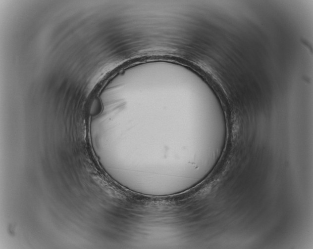 X0000103170973200809121857