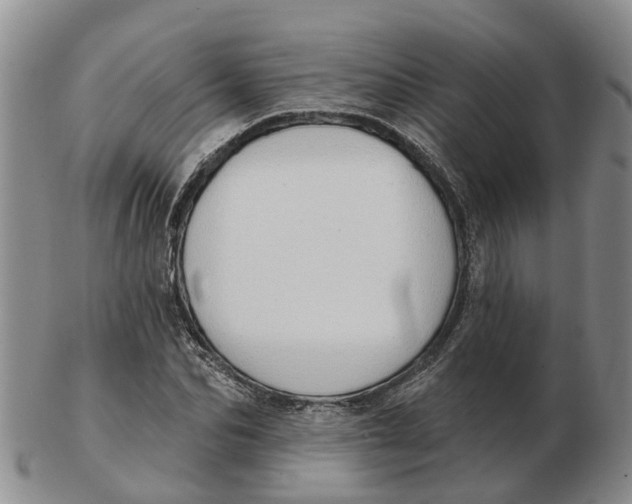 X0000103170974200809121857