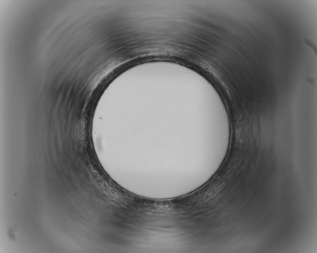 X0000103170975200809121857