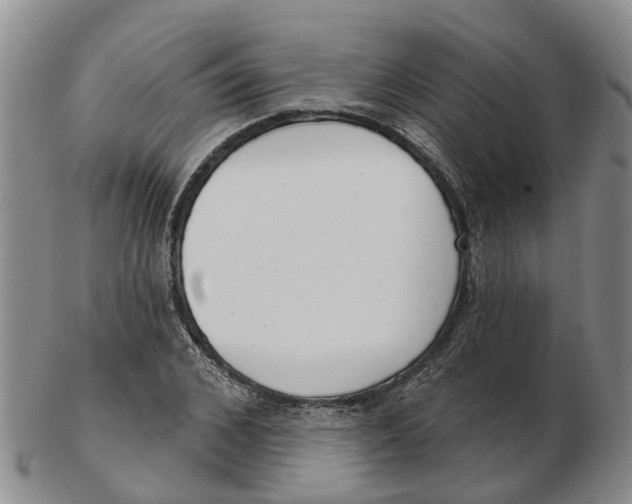 X0000103170976200809121857