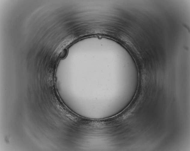 X0000103170977200809121857