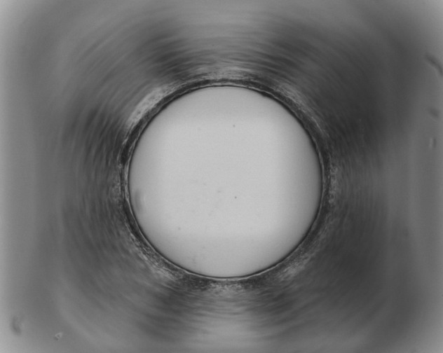 X0000103170978200809121857