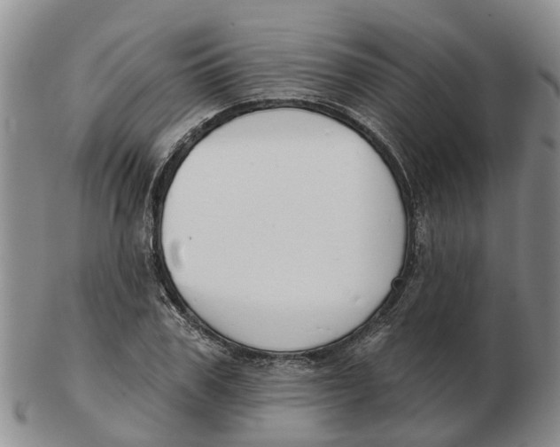 X0000103170979200809121857