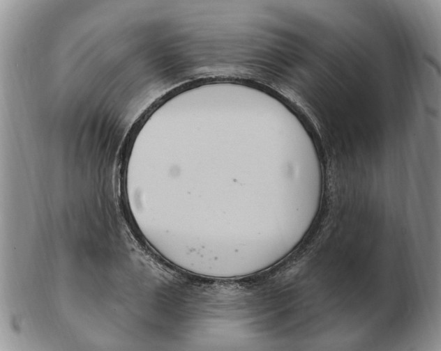 X0000103170983200809121857