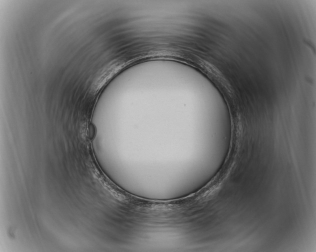 X0000103170985200809121857