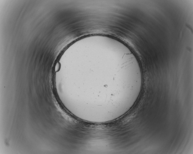 X0000103170991200809121857