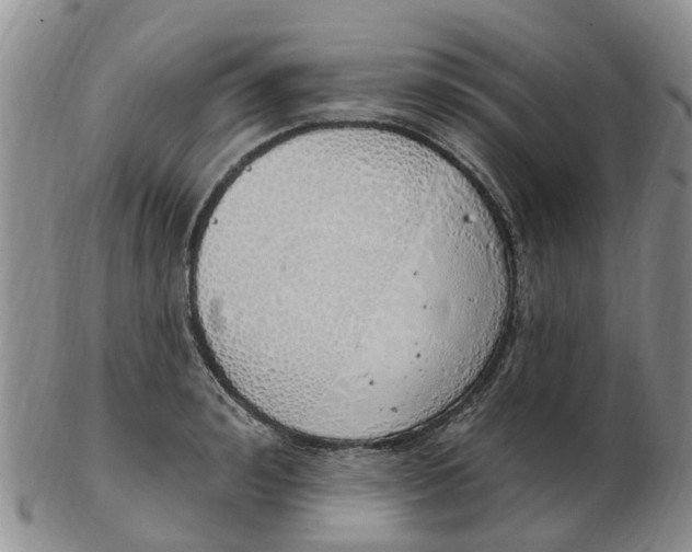 X0000103170992200809121857