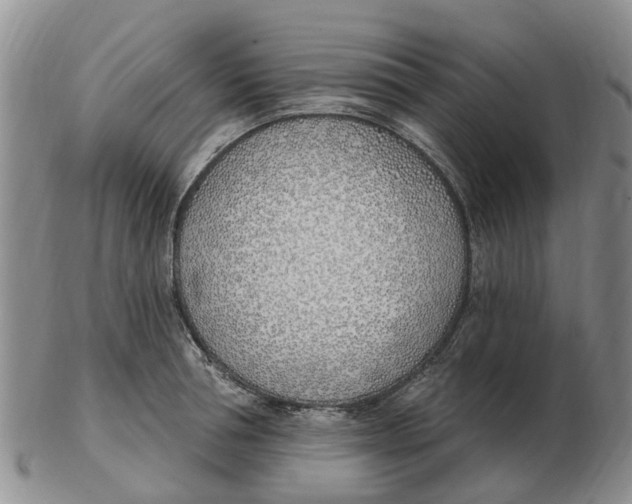 X0000103170994200809121857