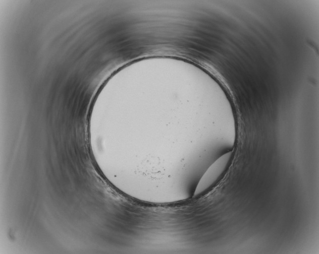 X0000103170996200809121857