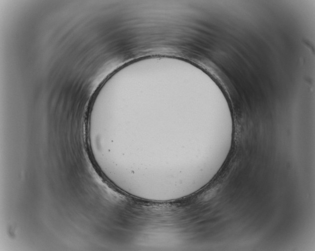 X0000103170999200809121857