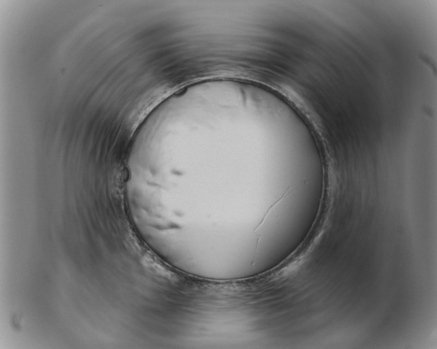 X0000103171001200809121857