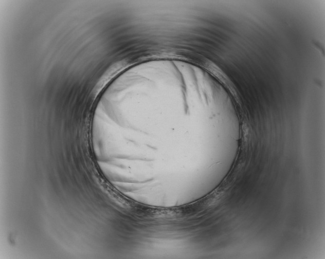 X0000103171002200809121857