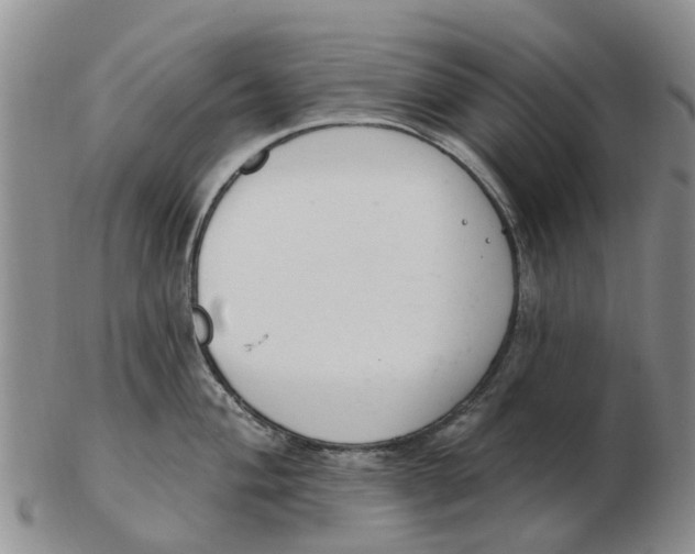 X0000103171004200809121857