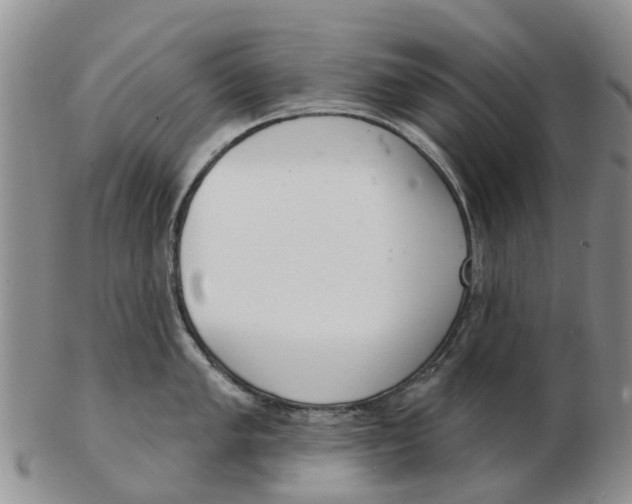 X0000103171005200809121857