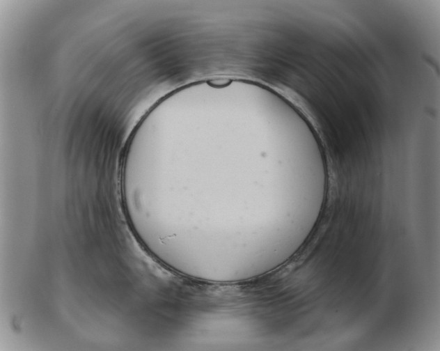 X0000103171006200809121857