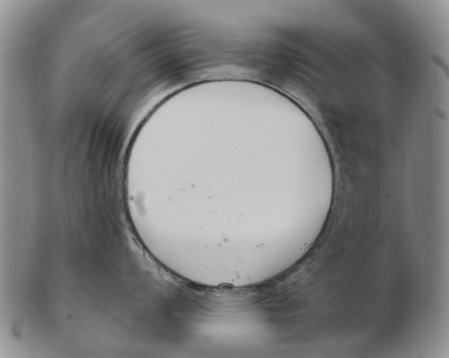 X0000103171008200809121857