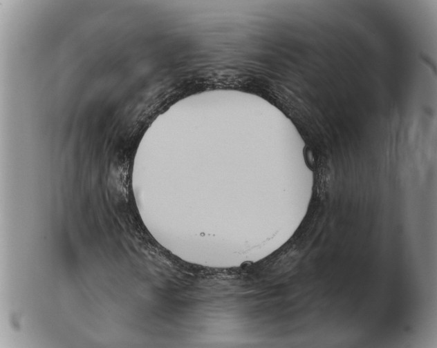 X0000103171010200809121856