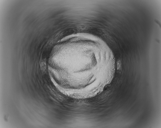 X0000103171011200809121856