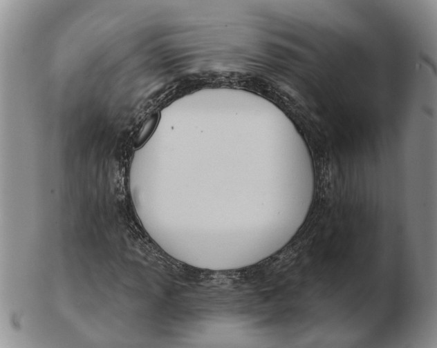 X0000103171013200809121856