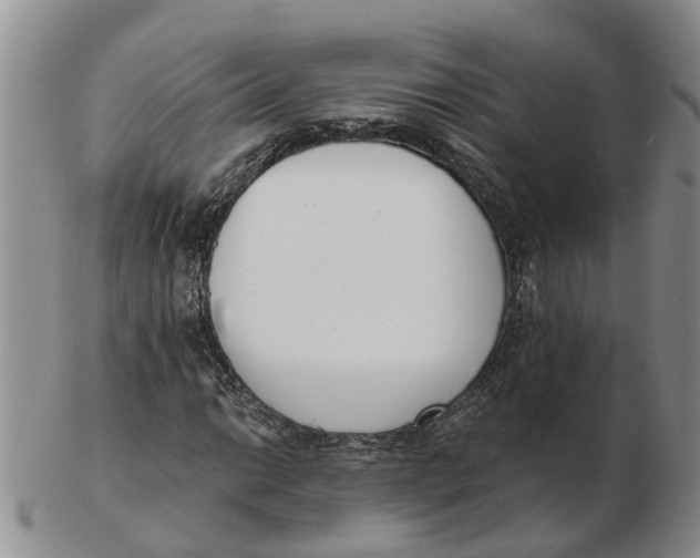 X0000103171014200809121856