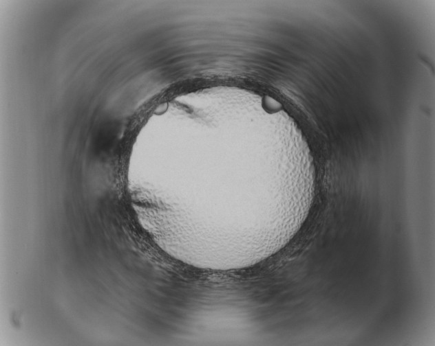 X0000103171015200809121856