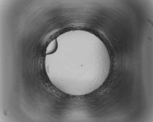 X0000103171016200809121856