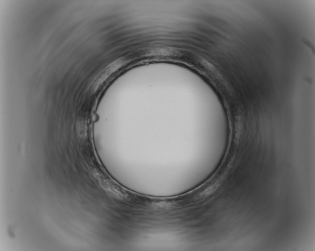 X0000103171017200809121856