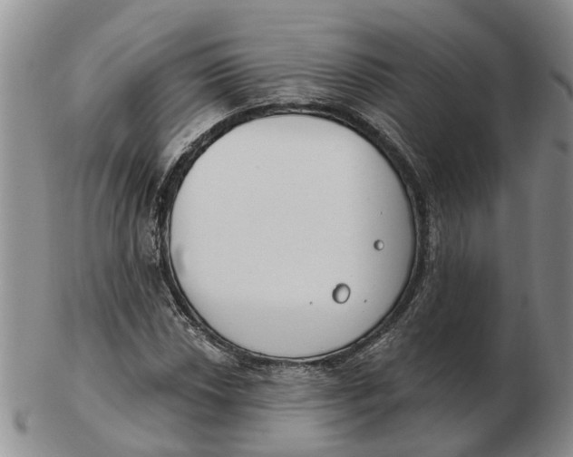 X0000103171018200809121856