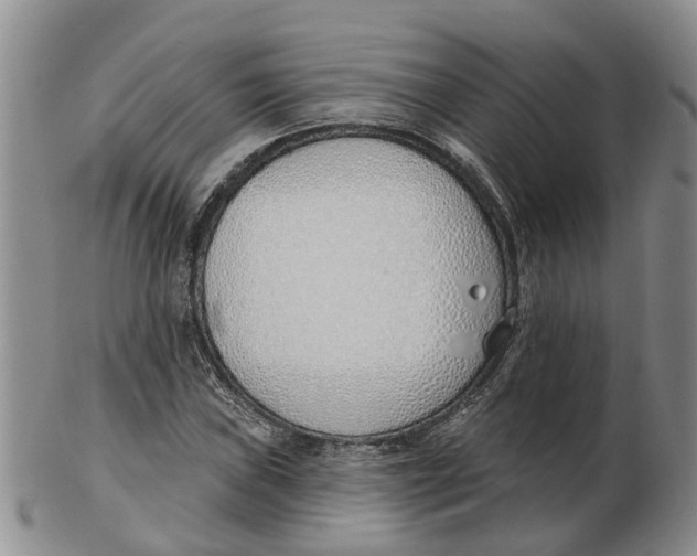 X0000103171019200809121856