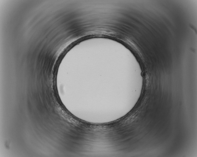 X0000103171020200809121856