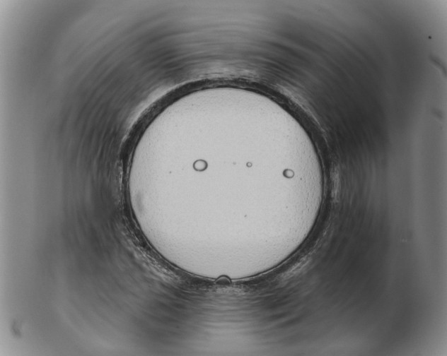 X0000103171021200809121856