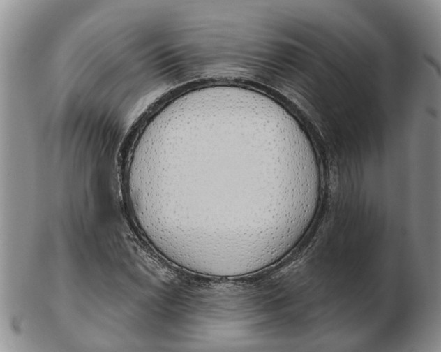 X0000103171022200809121856