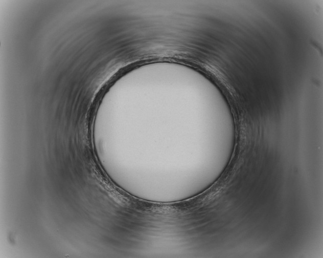 X0000103171023200809121856