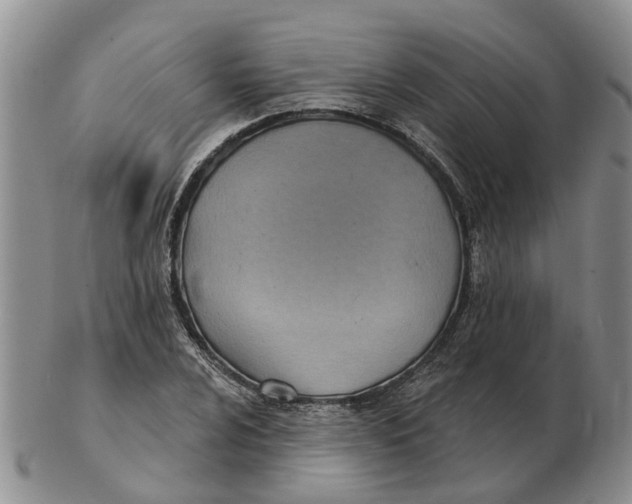 X0000103171024200809121856